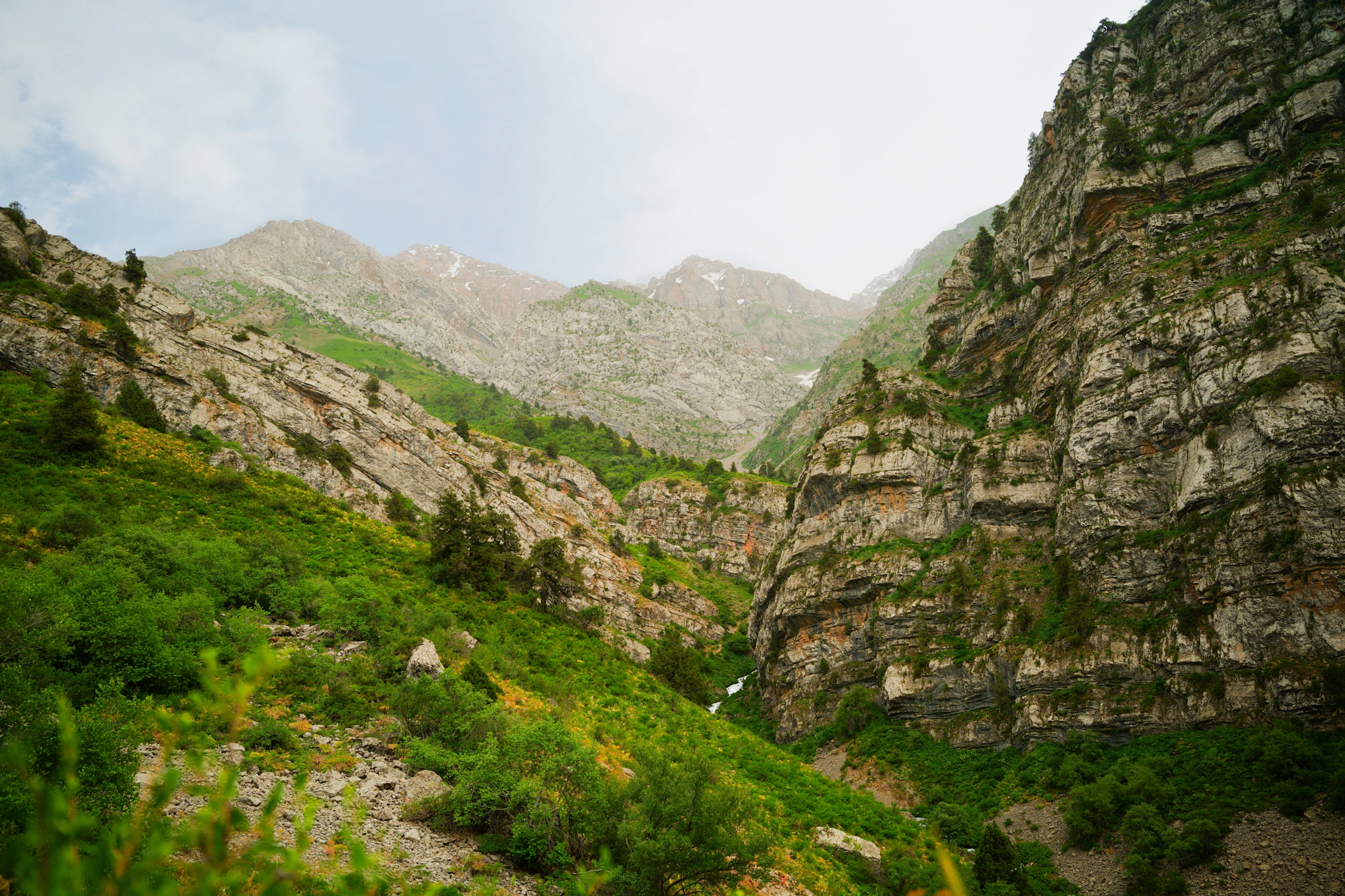 O'zbekiston bo'ylab turlar